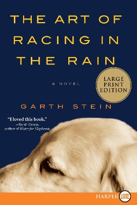 Art of Racing in the Rain by Garth Stein