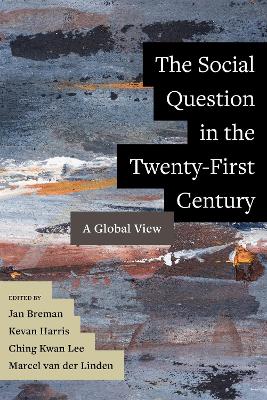 The Social Question in the Twenty-First Century: A Global View book