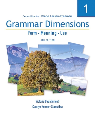Grammar Dimensions 1: Form, Meaning, Use book