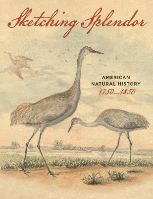 Sketching Splendor: American Natural History, 1750-1850 book