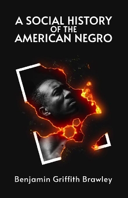 A Social History of the American Negro book