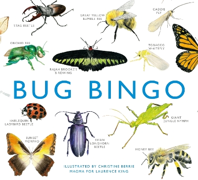 Bug Bingo book