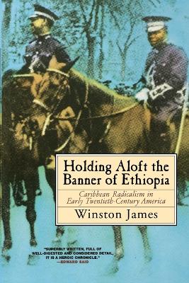 Holding Aloft the Banner of Ethiopia book