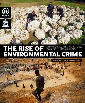 rise of environmental crime book