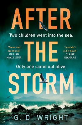 After the Storm book