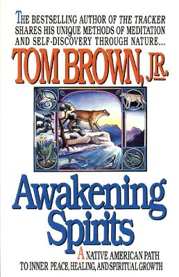 Awakening Spirits book