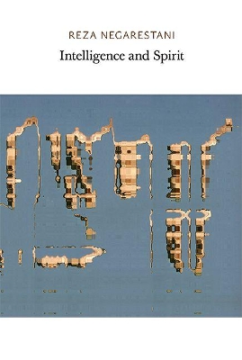 Intelligence and Spirit book