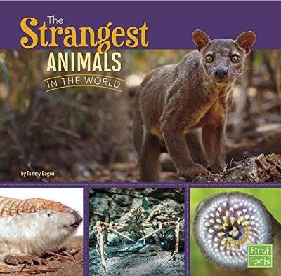 The Strangest Animals in the World by Tammy Gagne