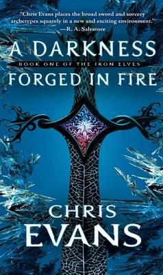 A Darkness Forged in Fire by Chris Evans