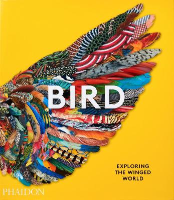 Bird: Exploring the Winged World book