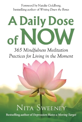 A Daily Dose of Now: 365 Mindfulness Meditation Practices for Living in the Moment book