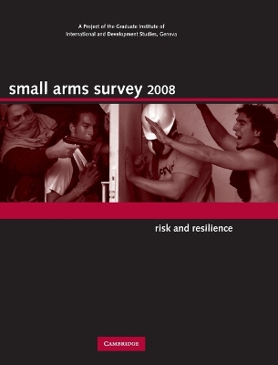 Small Arms Survey 2008 book