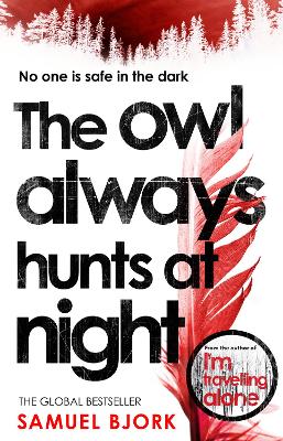 Owl Always Hunts at Night by Samuel Bjork