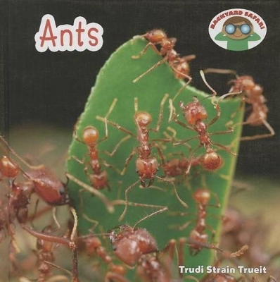 Ants by Trudi Strain Trueit
