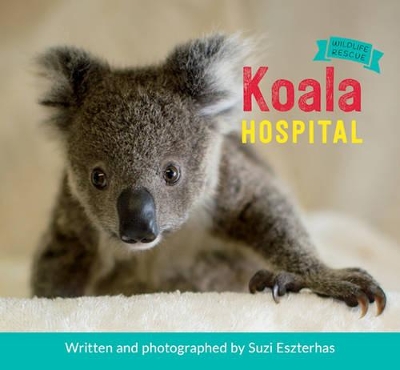 Koala Hospital book