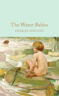 The Water-Babies: A Fairy Tale for a Land-Baby book