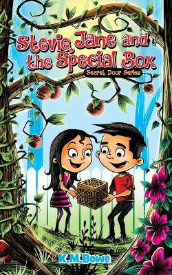Stevie, Jane and the Special Box: An Early Reader Adventure Book book