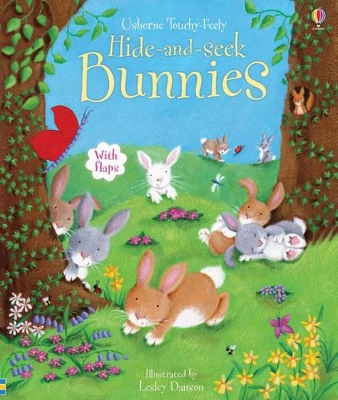 Hide and Seek Bunnies by Fiona Watt
