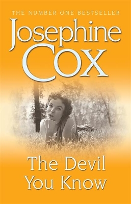 The Devil You Know by Josephine Cox