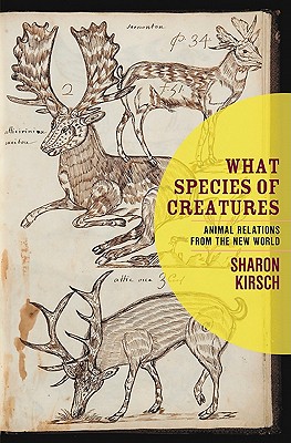 What Species of Creatures: Animal Relations from the New World book