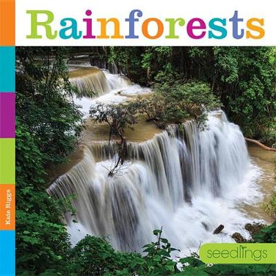 Rainforests book
