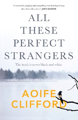 All These Perfect Strangers book