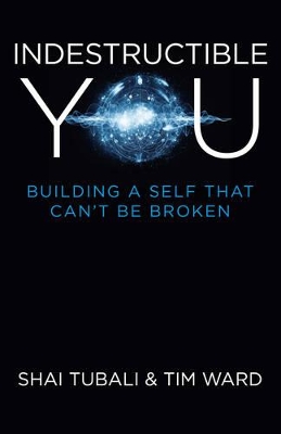Indestructible You book