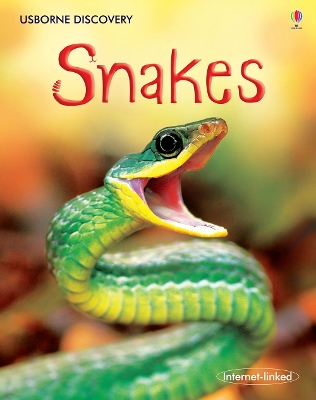 Snakes by Rachel Firth