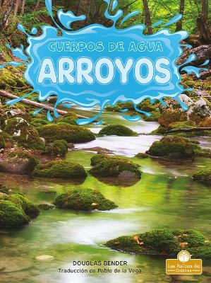 Arroyos (Streams) by Douglas Bender