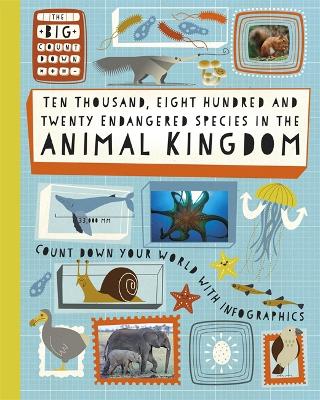 Big Countdown: Ten Thousand, Eight Hundred and Twenty Endangered Species in the Animal Kingdom by Paul Rockett