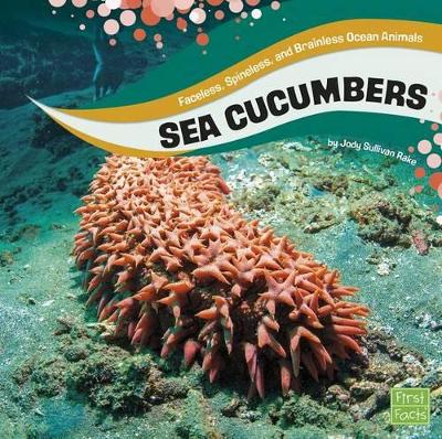 Sea Cucumbers by Jody S Rake