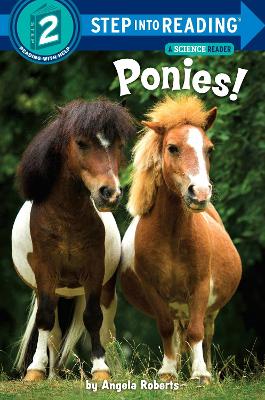 Ponies! book