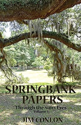 Springbank Papers: Through the Sun's Eyes book