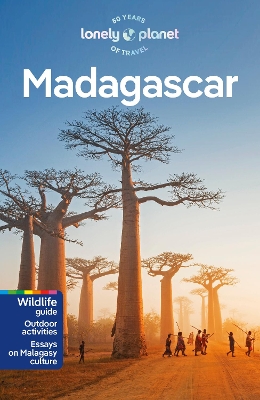 Lonely Planet Madagascar book