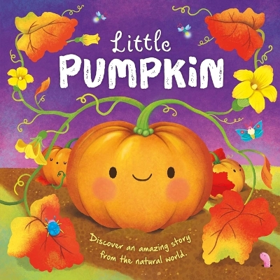 Nature Stories: Little Pumpkin-Discover an Amazing Story from the Natural World: Padded Board Book book