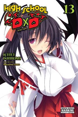 High School DxD, Vol. 13 (light novel) book