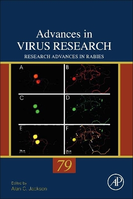 Research Advances in Rabies by Alan C. Jackson