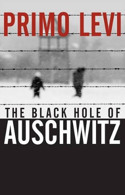 The Black Hole of Auschwitz book