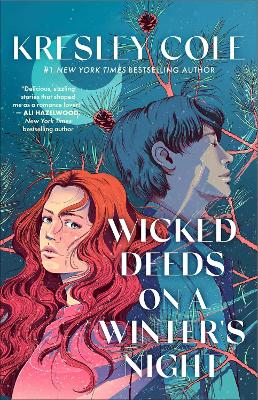 Wicked Deeds on a Winter's Night: a sizzling enemies to lovers, protector paranormal romance book