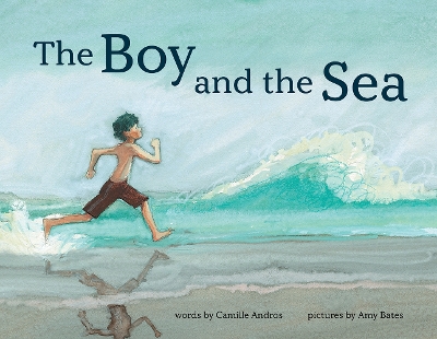 The Boy and the Sea book