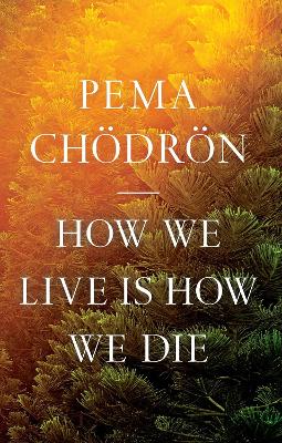 How We Live Is How We Die book