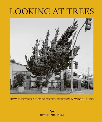 Looking At Trees: New Photography of Trees, Forests & Woodlands book