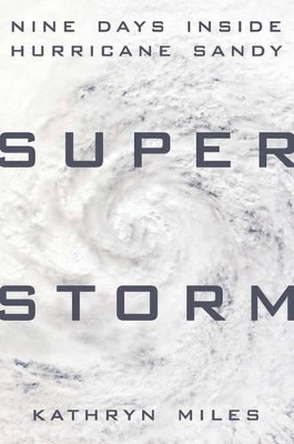Superstorm book