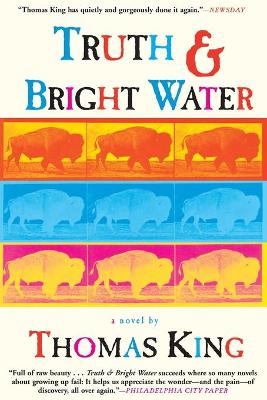 Truth and Bright Water book