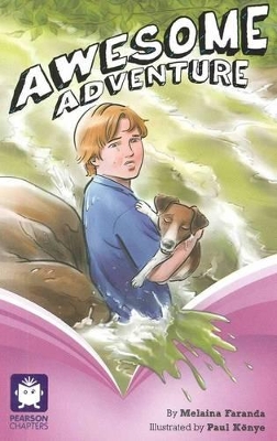 Pearson Chapters Year 5: Awesome Adventure book