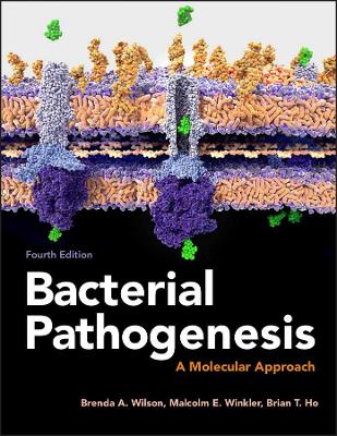 Bacterial Pathogenesis: A Molecular Approach book