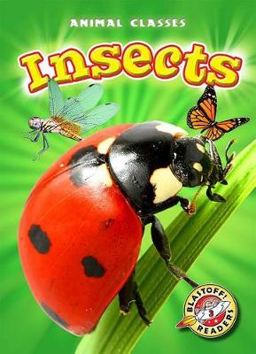 Insects by Kari Schuetz
