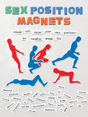 Sex Positions Magnets: Create and Name Your Own Positions for Naughty Fridge Fun book