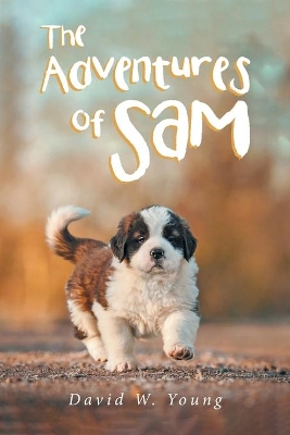 The Adventures of Sam book