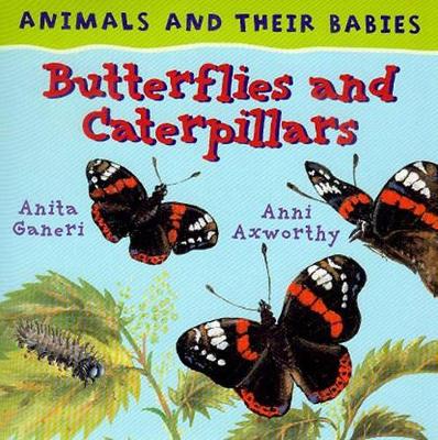 Butterflies and Caterpillars book